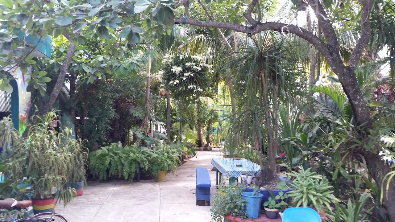 Rancho Tranquilo Hostel Τουλούμ Εξωτερικό φωτογραφία