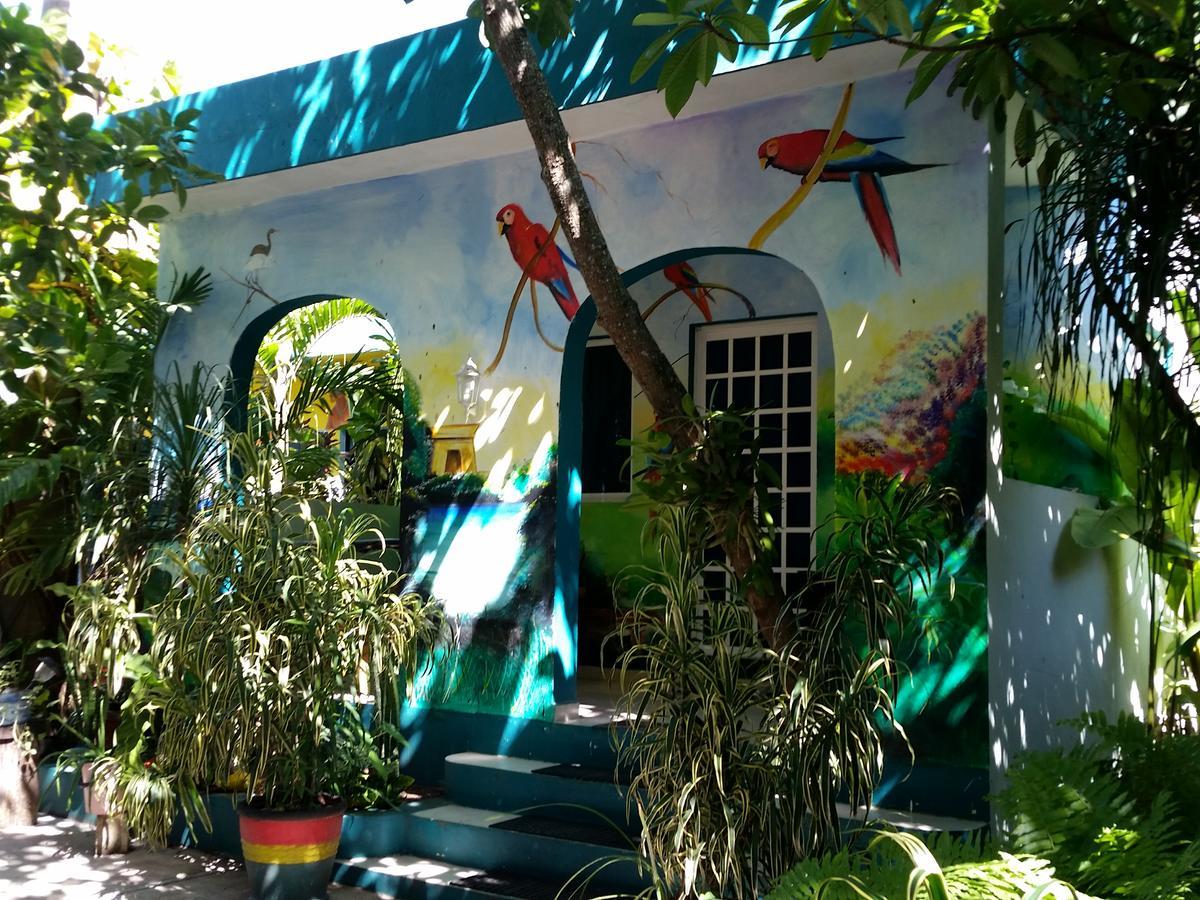 Rancho Tranquilo Hostel Τουλούμ Εξωτερικό φωτογραφία