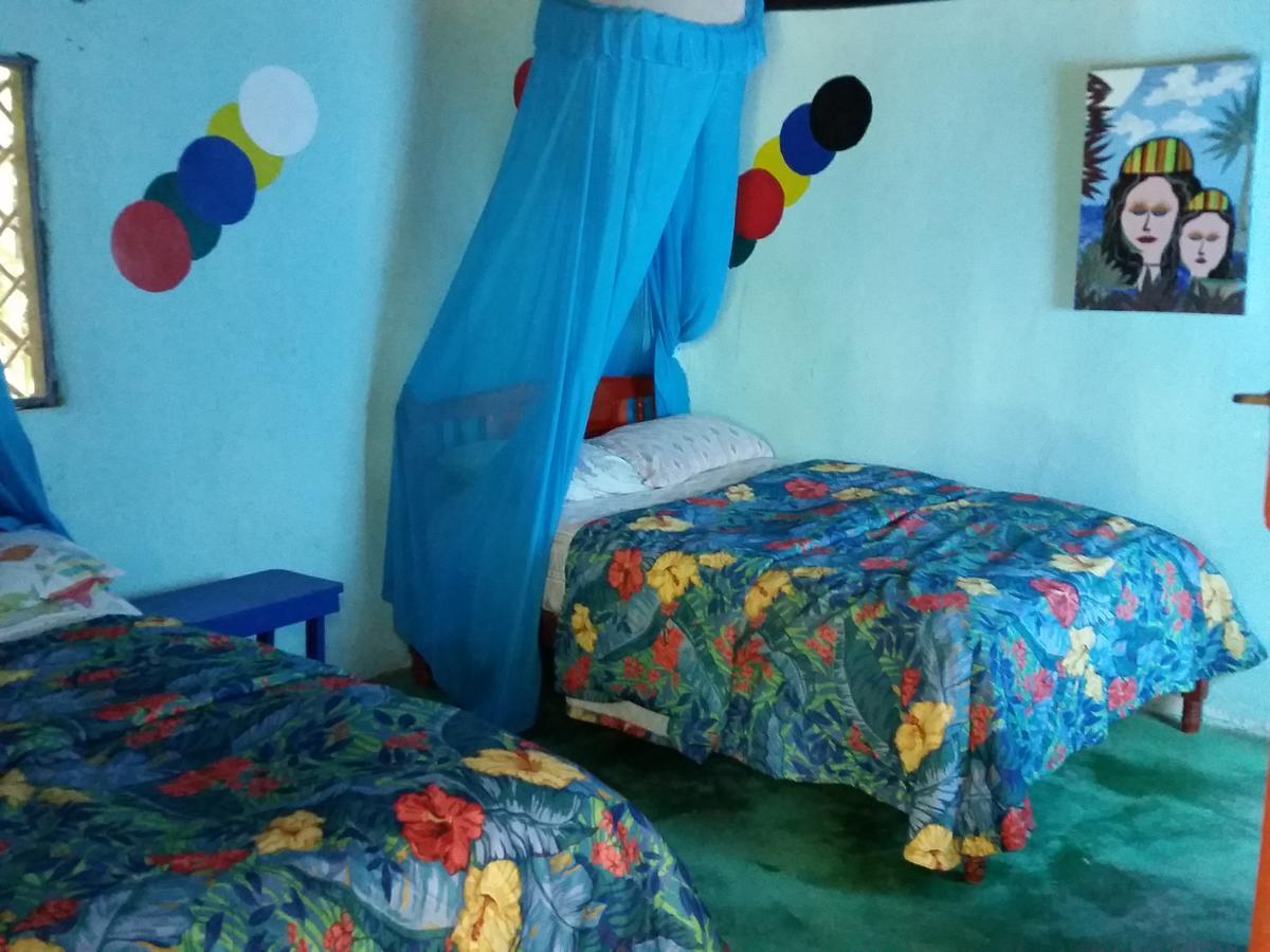 Rancho Tranquilo Hostel Τουλούμ Εξωτερικό φωτογραφία