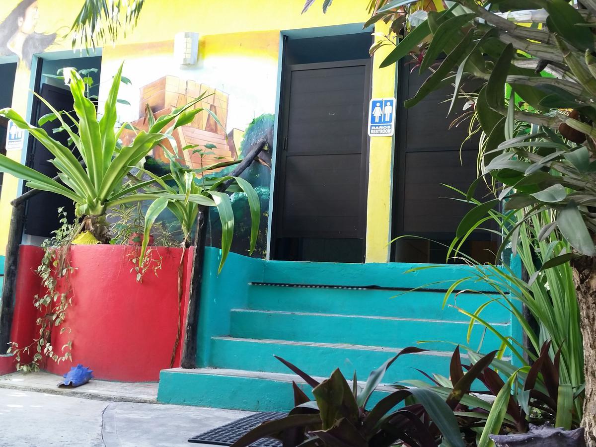 Rancho Tranquilo Hostel Τουλούμ Εξωτερικό φωτογραφία
