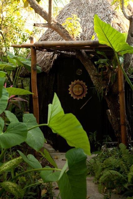 Rancho Tranquilo Hostel Τουλούμ Εξωτερικό φωτογραφία