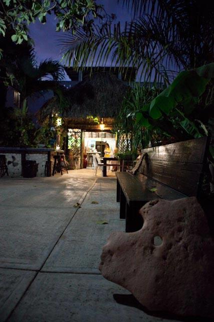 Rancho Tranquilo Hostel Τουλούμ Εξωτερικό φωτογραφία