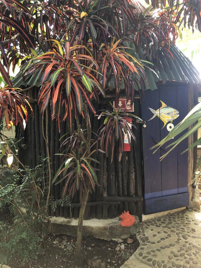 Rancho Tranquilo Hostel Τουλούμ Εξωτερικό φωτογραφία