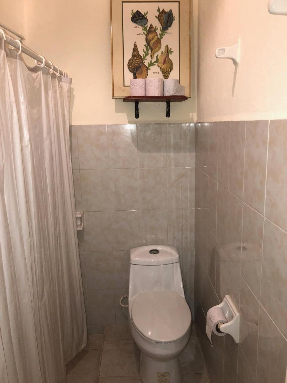 Rancho Tranquilo Hostel Τουλούμ Εξωτερικό φωτογραφία